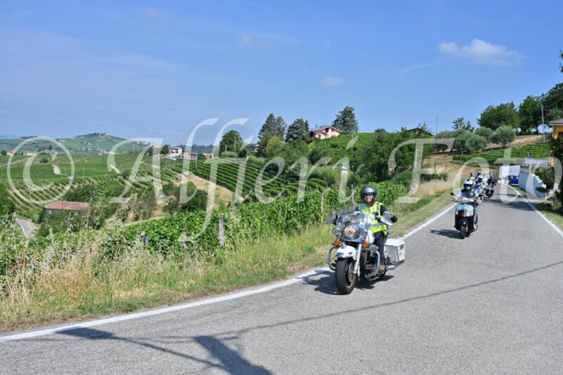 dsc_8661-standard-rpmf18.jpg