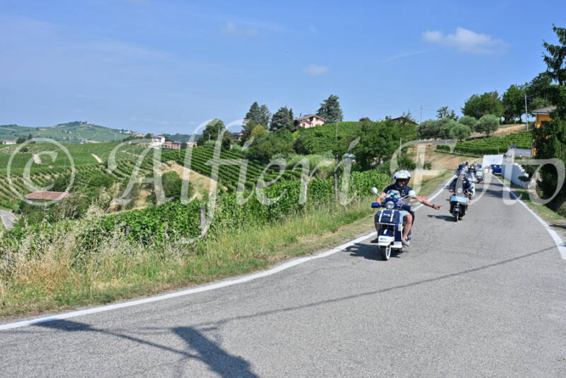 dsc_8667-standard-r7renz.jpg