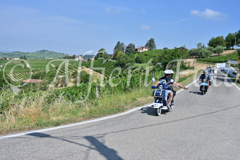 dsc_8668-standard-aazbj2.jpg