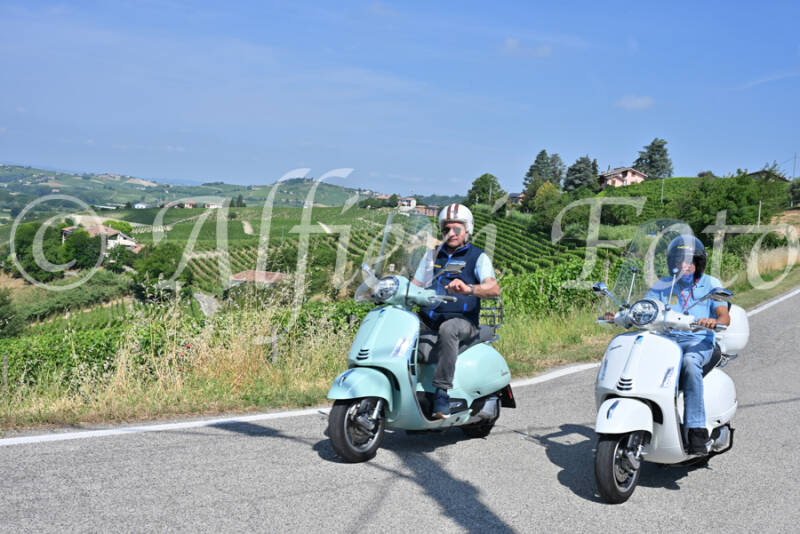 dsc_8680-standard-qyelvm.jpg