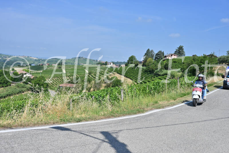 dsc_8692-standard-0szrib.jpg