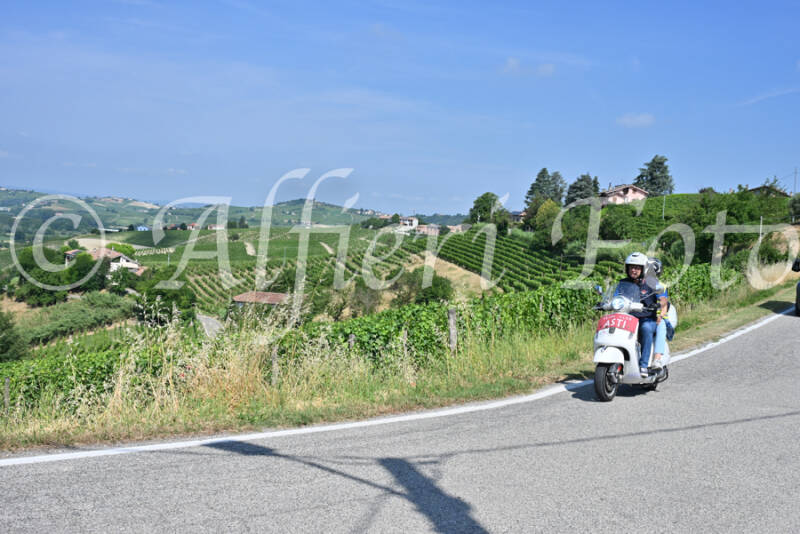 dsc_8693-standard-zcfi8y.jpg