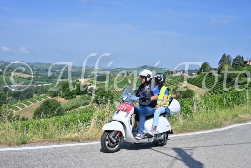 dsc_8695-standard-umzwxy.jpg