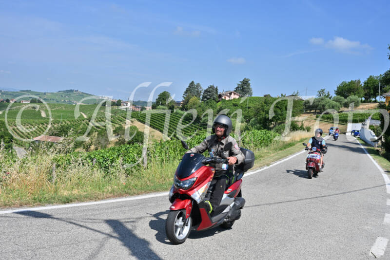 dsc_8698-standard-7nxwc1.jpg