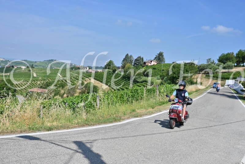 dsc_8700-standard-ooihwg.jpg