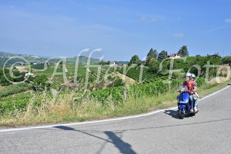 dsc_8705-standard-fqz8hh.jpg