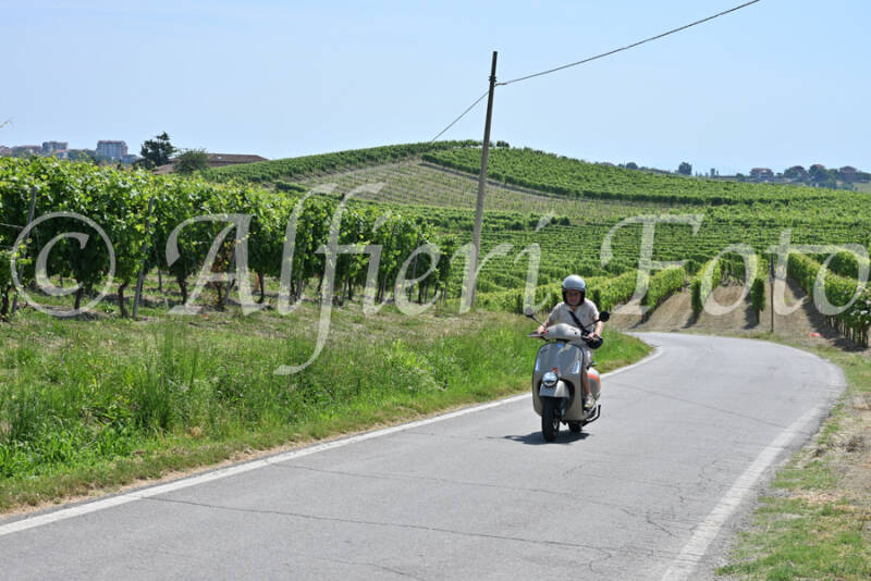 dsc_8708-standard-7hp26g.jpg