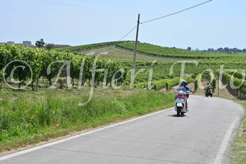 dsc_8709-standard-eq4ziy.jpg
