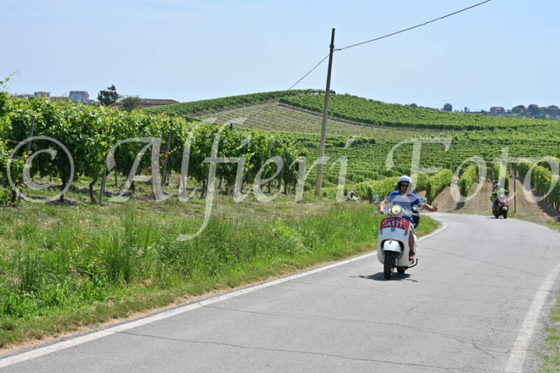 dsc_8710-standard-u9xzeq.jpg