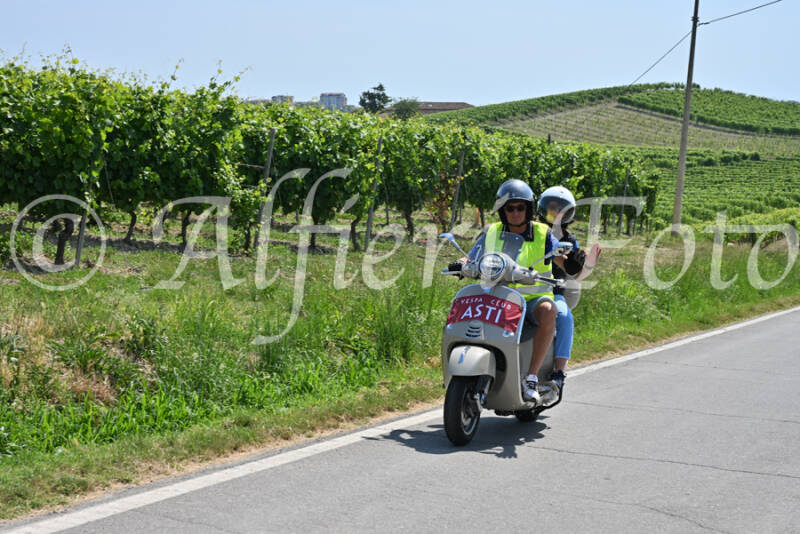 dsc_8714-standard-m32d1d.jpg