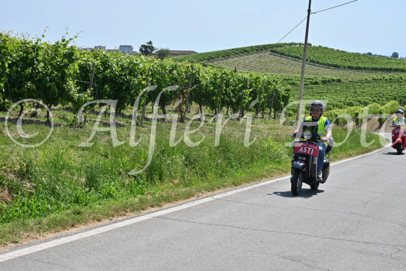 dsc_8716-standard-djw6vo.jpg