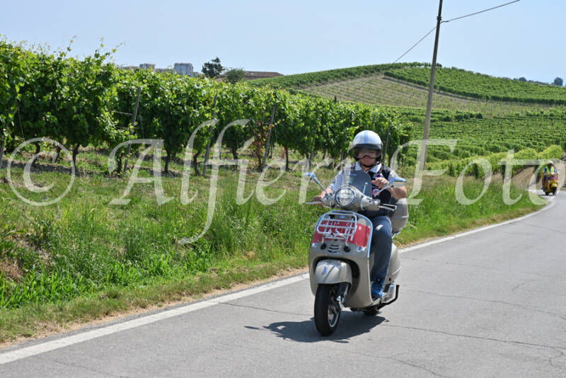 dsc_8721-standard-875gzl.jpg