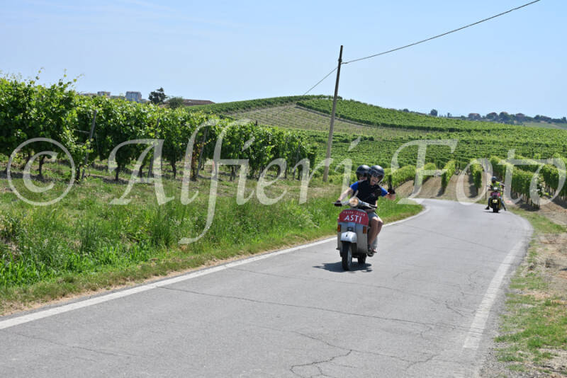 dsc_8725-standard-zehdjq.jpg