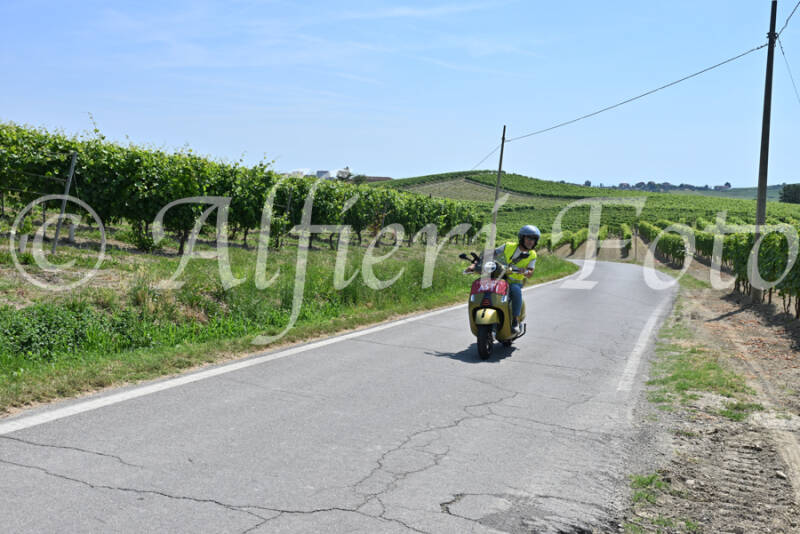 dsc_8729-standard-pg1ltn.jpg