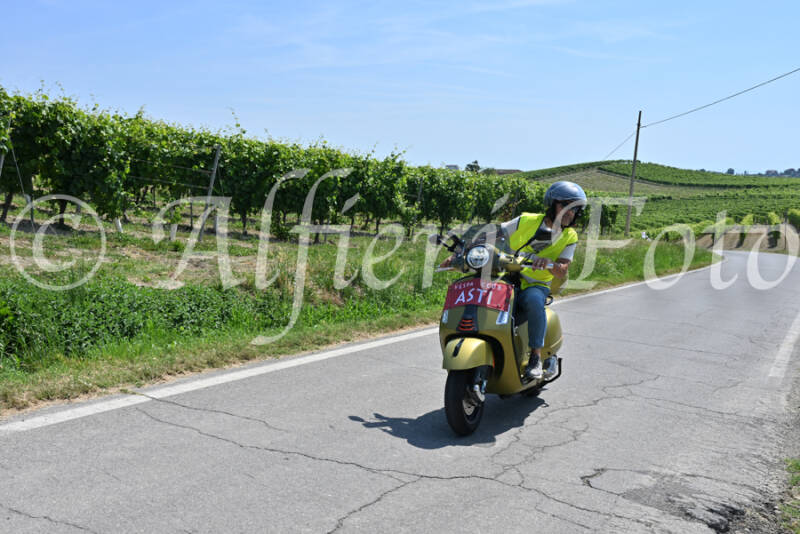 dsc_8730-standard-ap4yx6.jpg