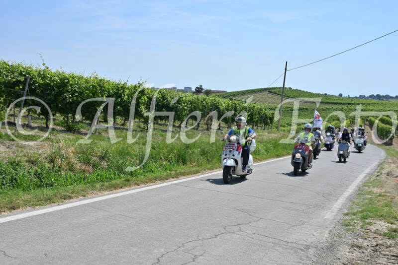 dsc_8731-standard-9e4p7y.jpg