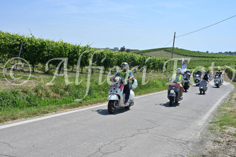 dsc_8732-standard-g67iat.jpg
