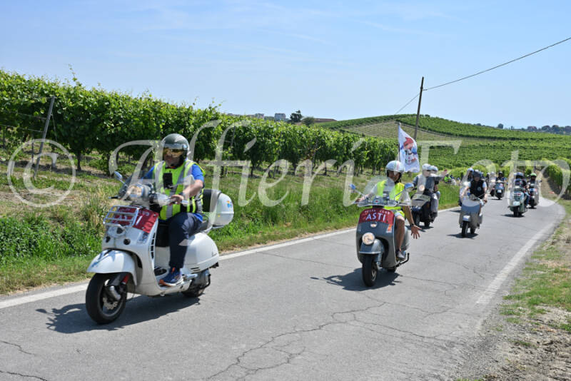 dsc_8734-standard-oiqkvq.jpg