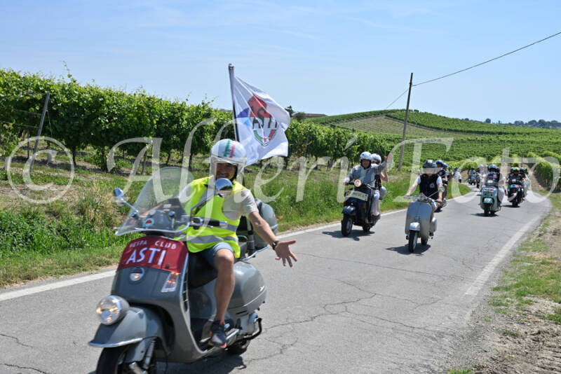 dsc_8737-standard-211prw.jpg