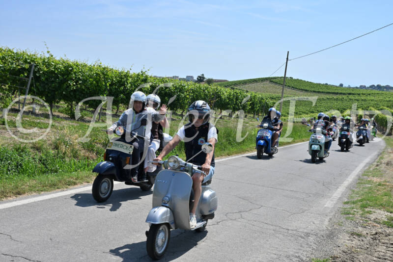 dsc_8740-standard-wtr2tr.jpg