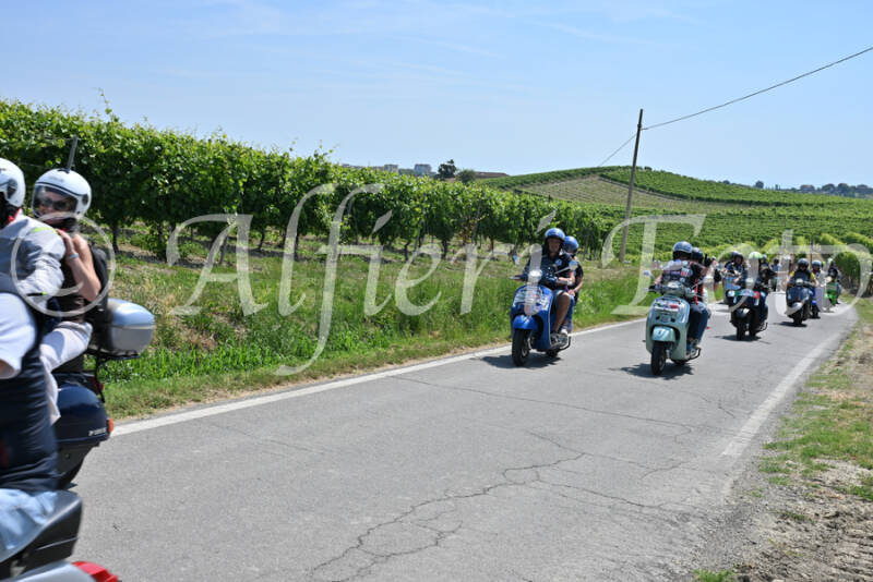 dsc_8741-standard-hfh7kd.jpg