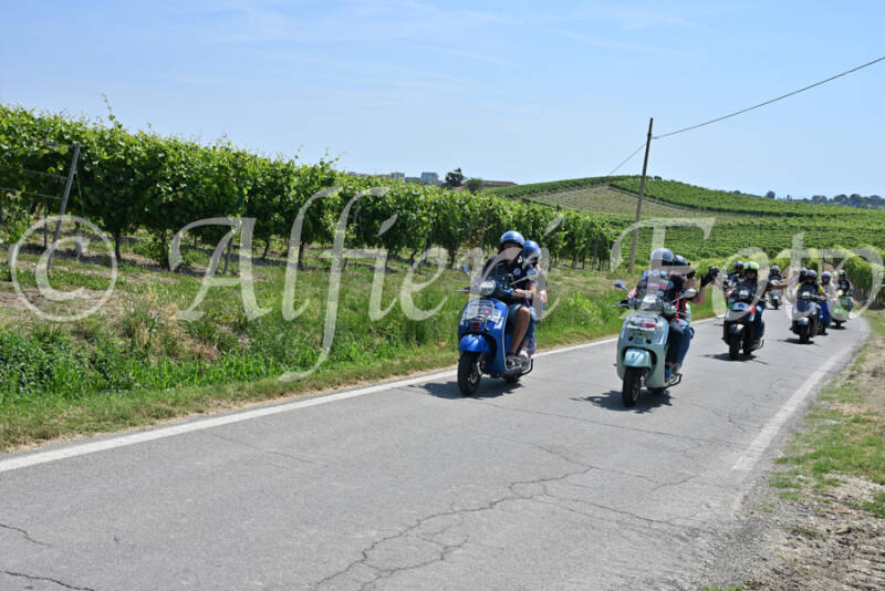 dsc_8742-standard-0jcwti.jpg