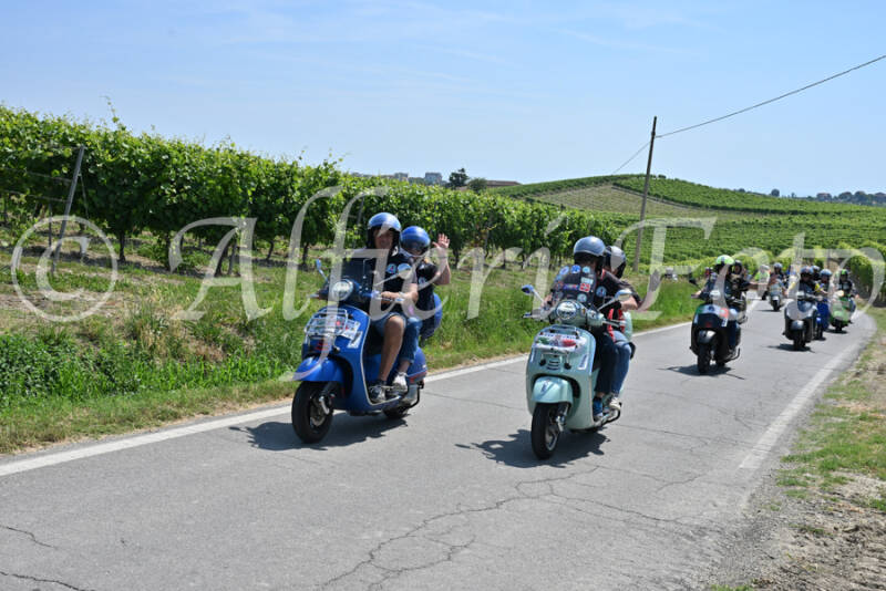 dsc_8743-standard-8yfb99.jpg