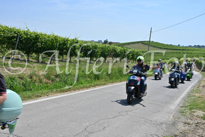 dsc_8747-standard-bktop1.jpg