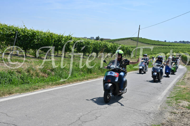 dsc_8748-standard-w4xckt.jpg