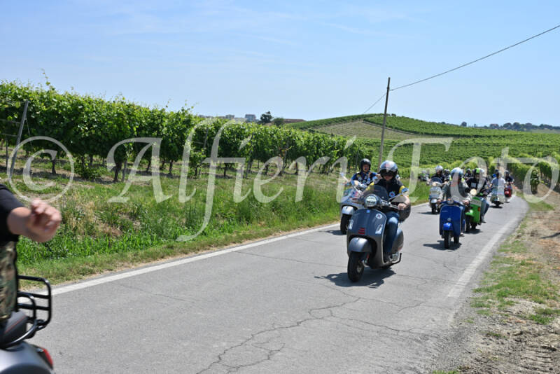 dsc_8751-standard-kyp6ln.jpg