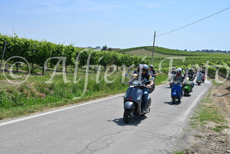 dsc_8752-standard-sadcwk.jpg