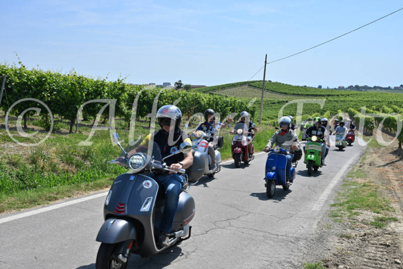 dsc_8754-standard-vli3ox.jpg