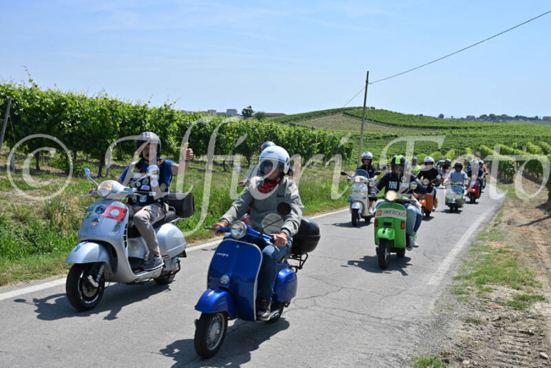 dsc_8757-standard-2gbxse.jpg