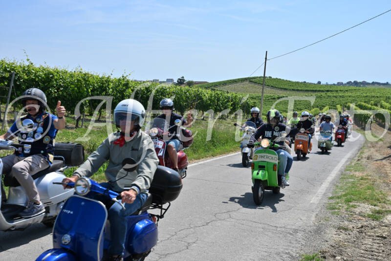 dsc_8758-standard-tkgefn.jpg