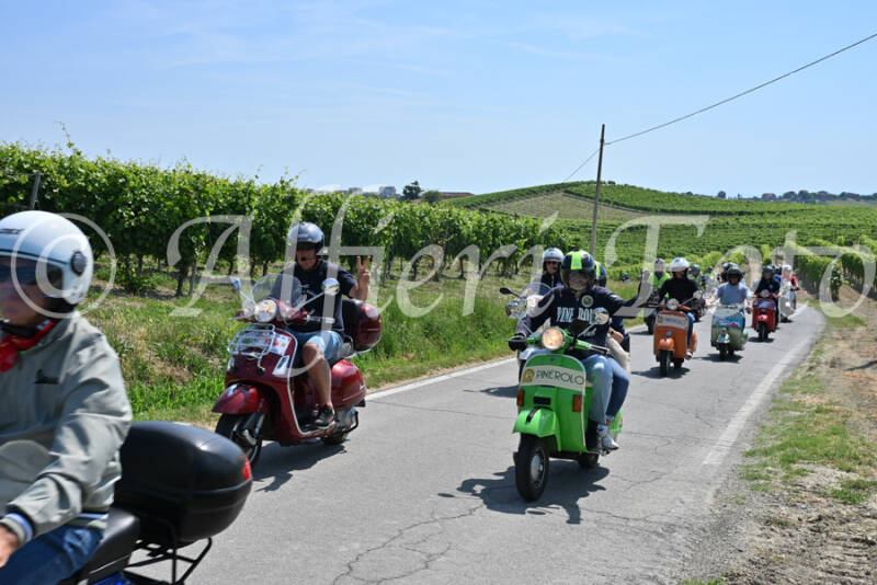 dsc_8759-standard-1jrxqd.jpg