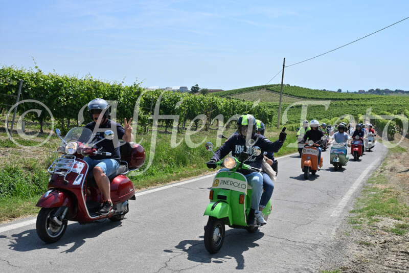 dsc_8760-standard-rmdh6b.jpg