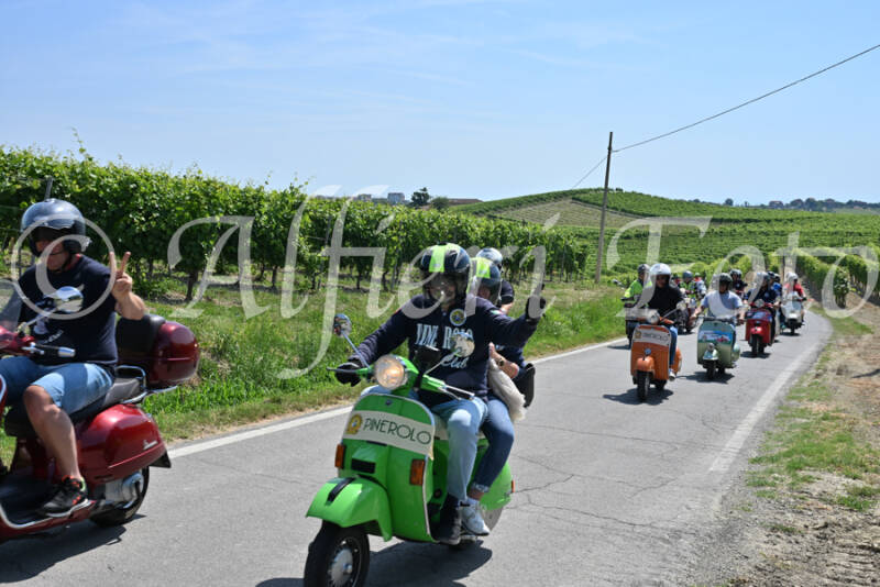 dsc_8761-standard-v6o6b8.jpg