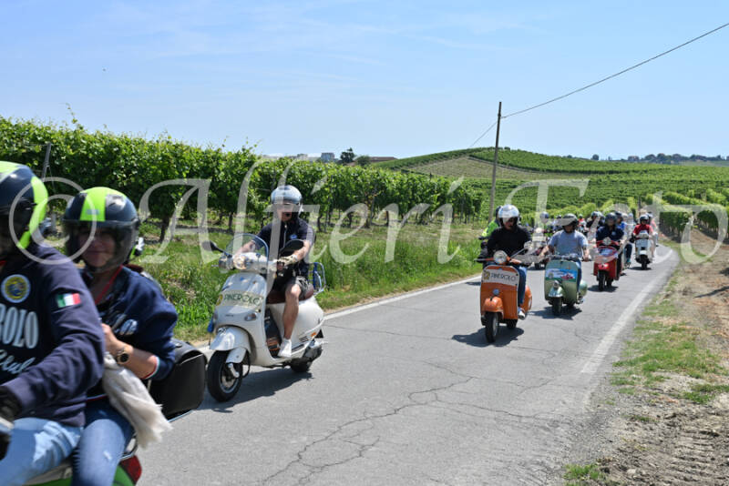 dsc_8762-standard-opjltl.jpg