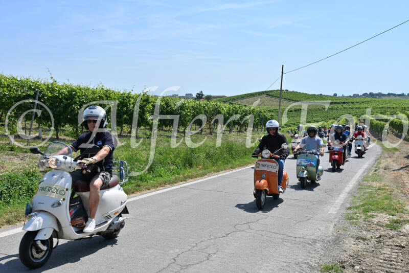 dsc_8763-standard-nvwtta.jpg