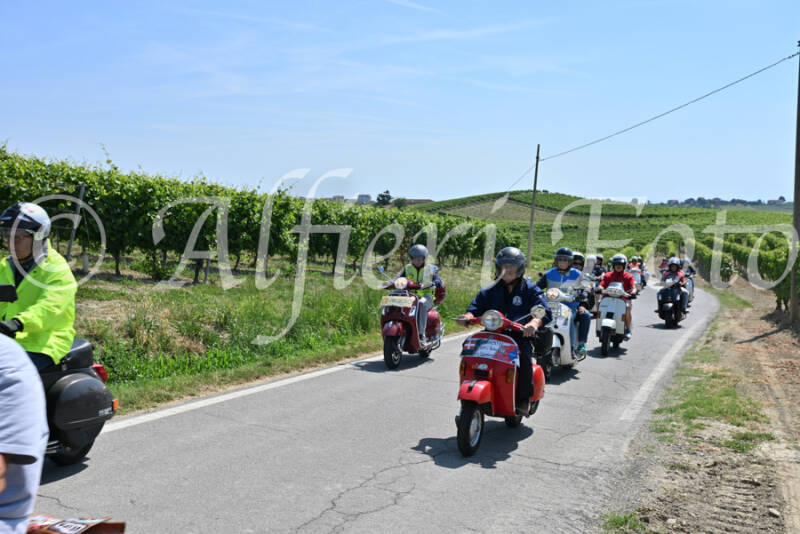dsc_8770-standard-7kvnmw.jpg