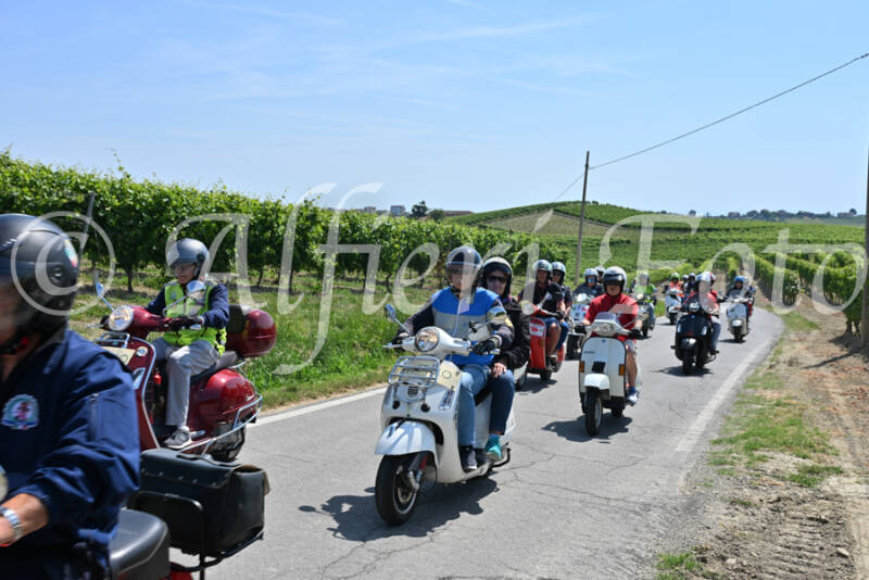 dsc_8773-standard-a3idab.jpg