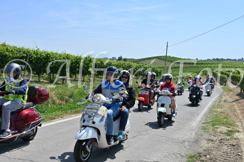 dsc_8774-standard-7zb6p1.jpg