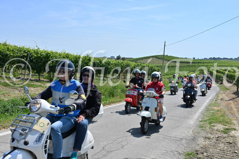 dsc_8775-standard-cujarc.jpg