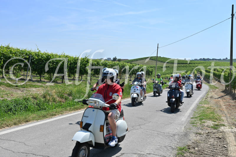dsc_8777-standard-qizwy6.jpg
