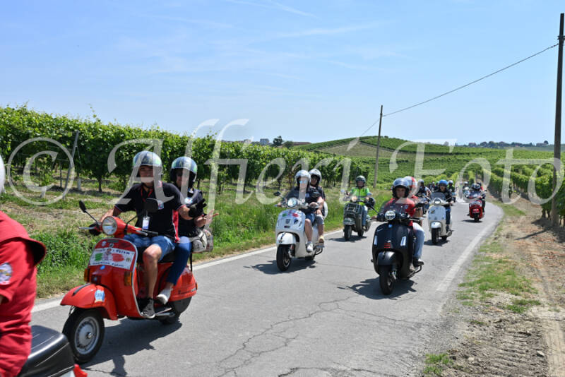 dsc_8779-standard-sgalgx.jpg