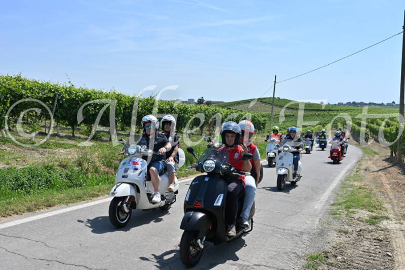 dsc_8782-standard-dobzlq.jpg