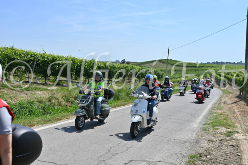 dsc_8785-standard-wspzc7.jpg