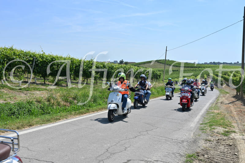 dsc_8789-standard-998h3d.jpg