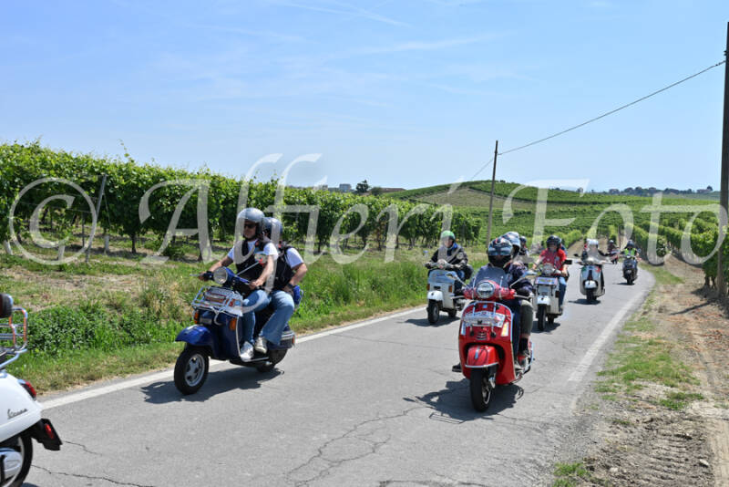 dsc_8793-standard-dt6rgi.jpg