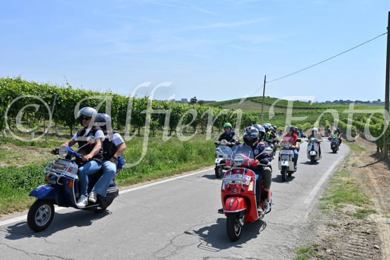 dsc_8794-standard-51n5kh.jpg